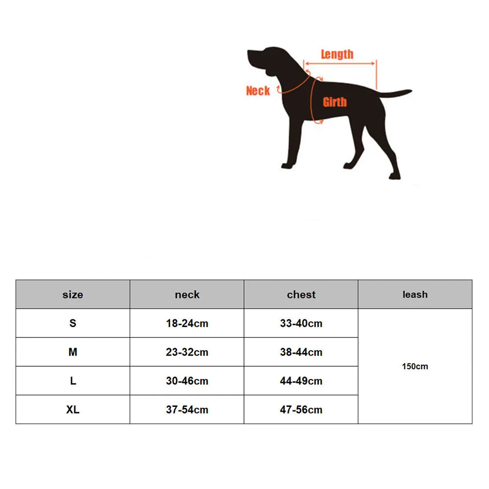 Fashionable reflective cat harness and leash sets