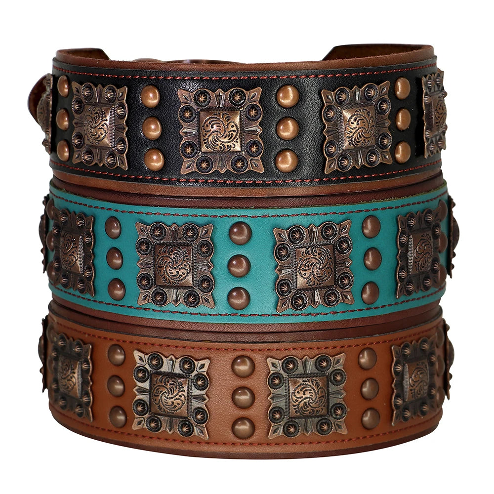 Cooles Hundehalsband mit Spikes für mittelgroße und große Hunde - echtes Leder