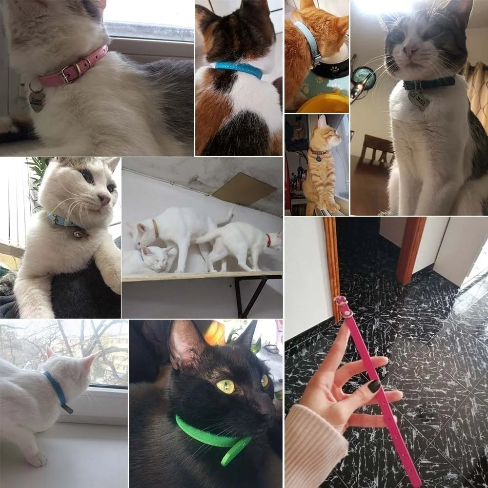 Bunte Leder Halsband für Katzen