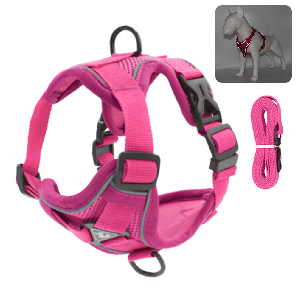 Fashionable reflective cat harness and leash sets