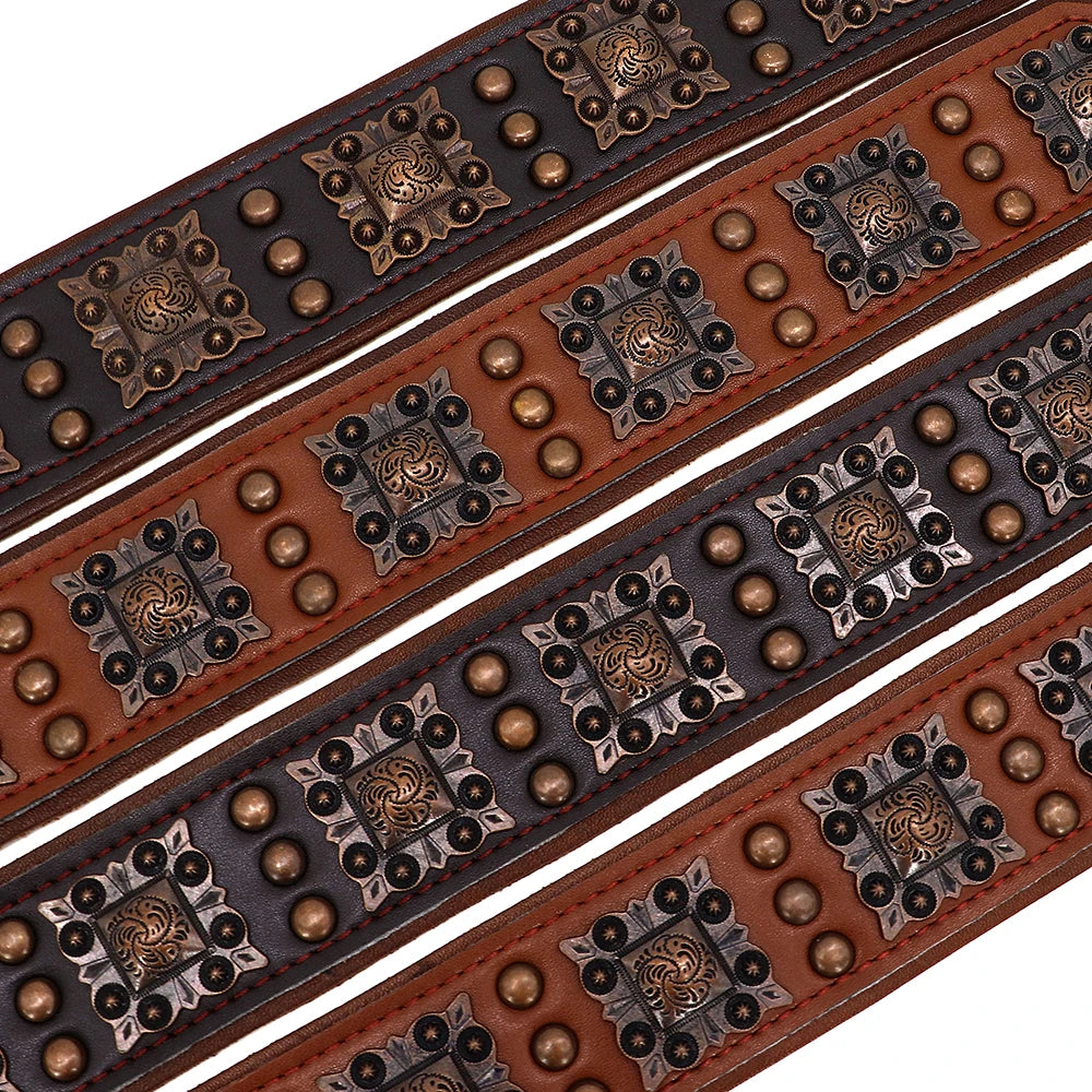 Cooles Hundehalsband mit Spikes für mittelgroße und große Hunde - echtes Leder