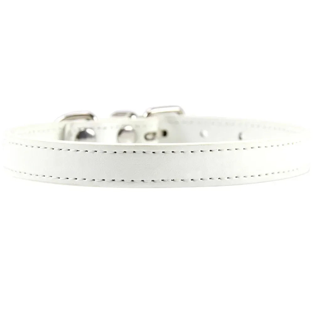 Bunte Leder Halsband für Katzen