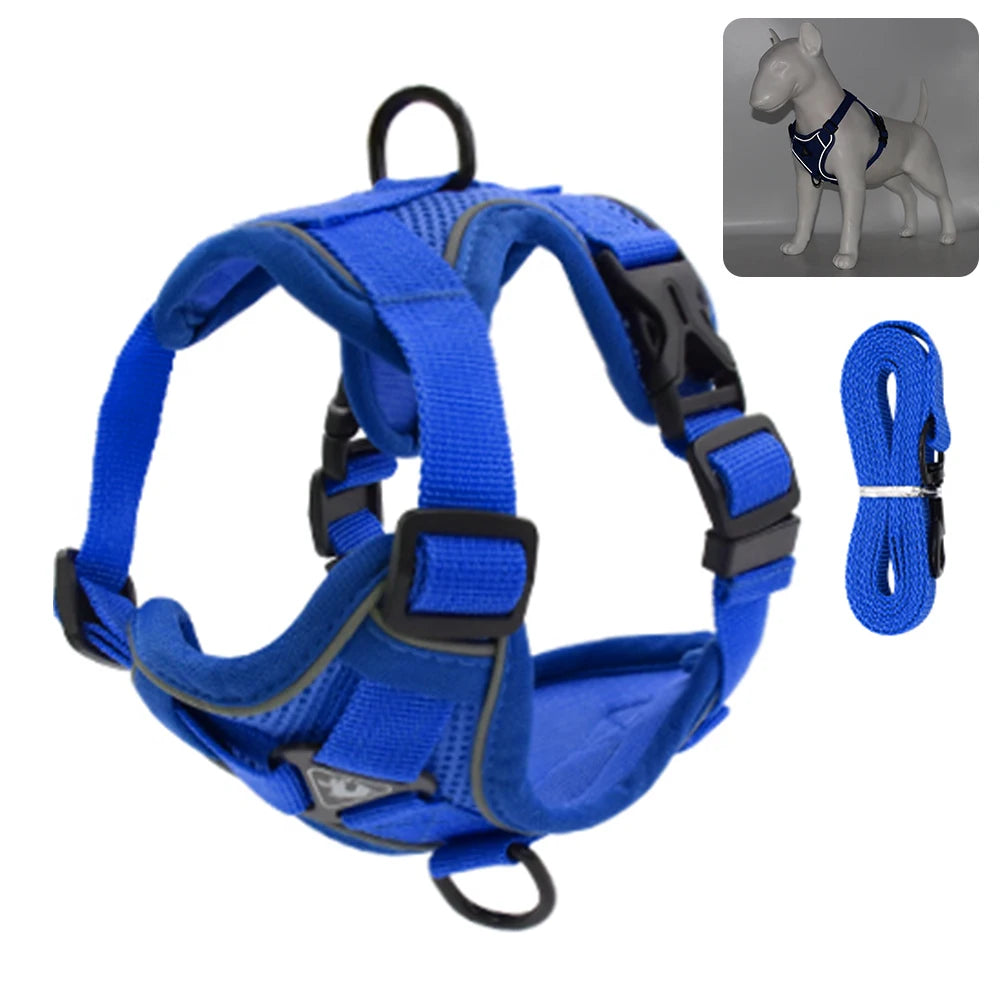 Fashionable reflective cat harness and leash sets