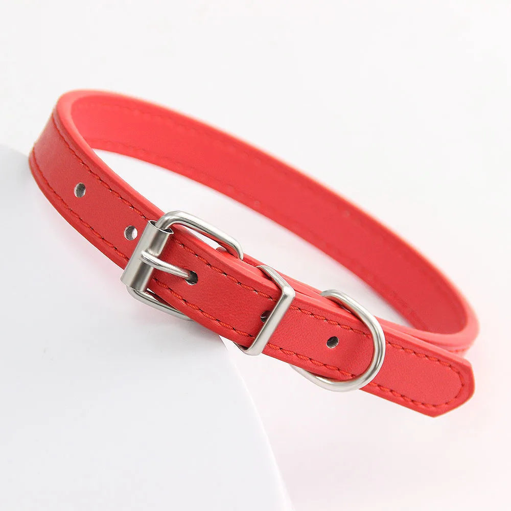 Bunte Leder Halsband für Katzen