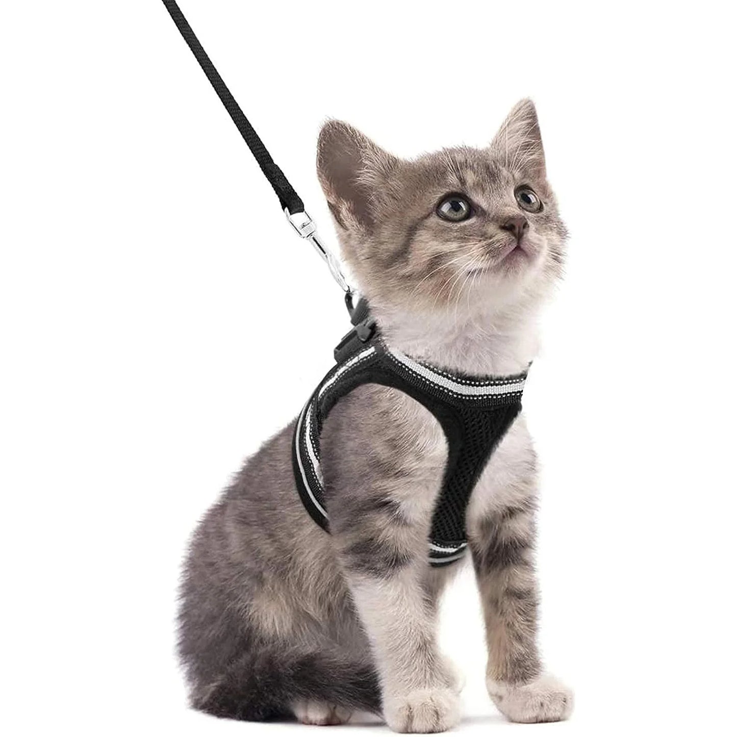 Katzengeschirr und Leine-Set zum Gehen