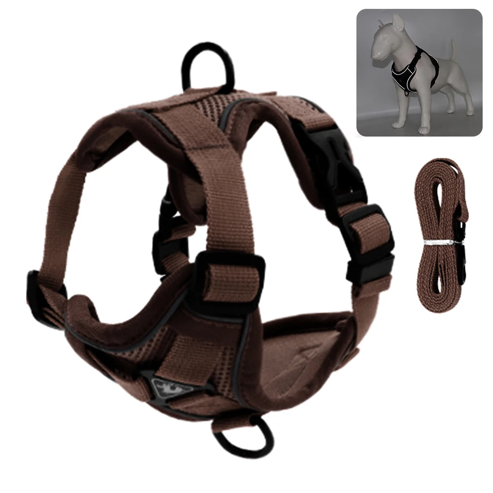 Fashionable reflective cat harness and leash sets