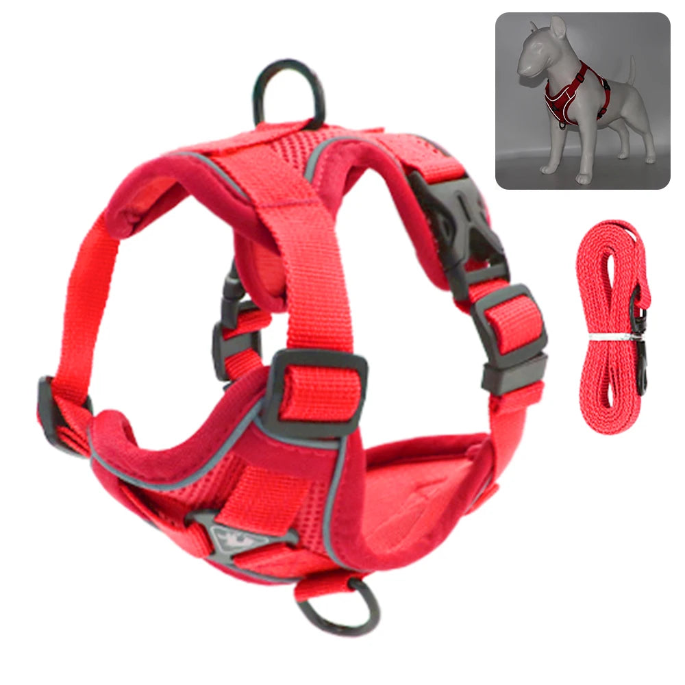 Fashionable reflective cat harness and leash sets