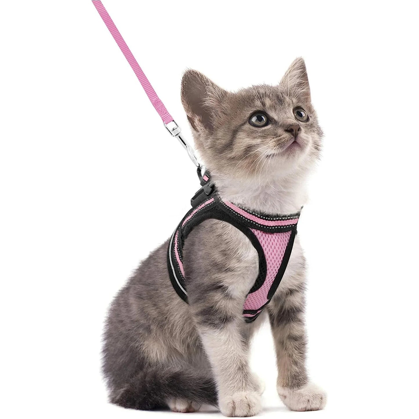 Katzengeschirr und Leine-Set zum Gehen