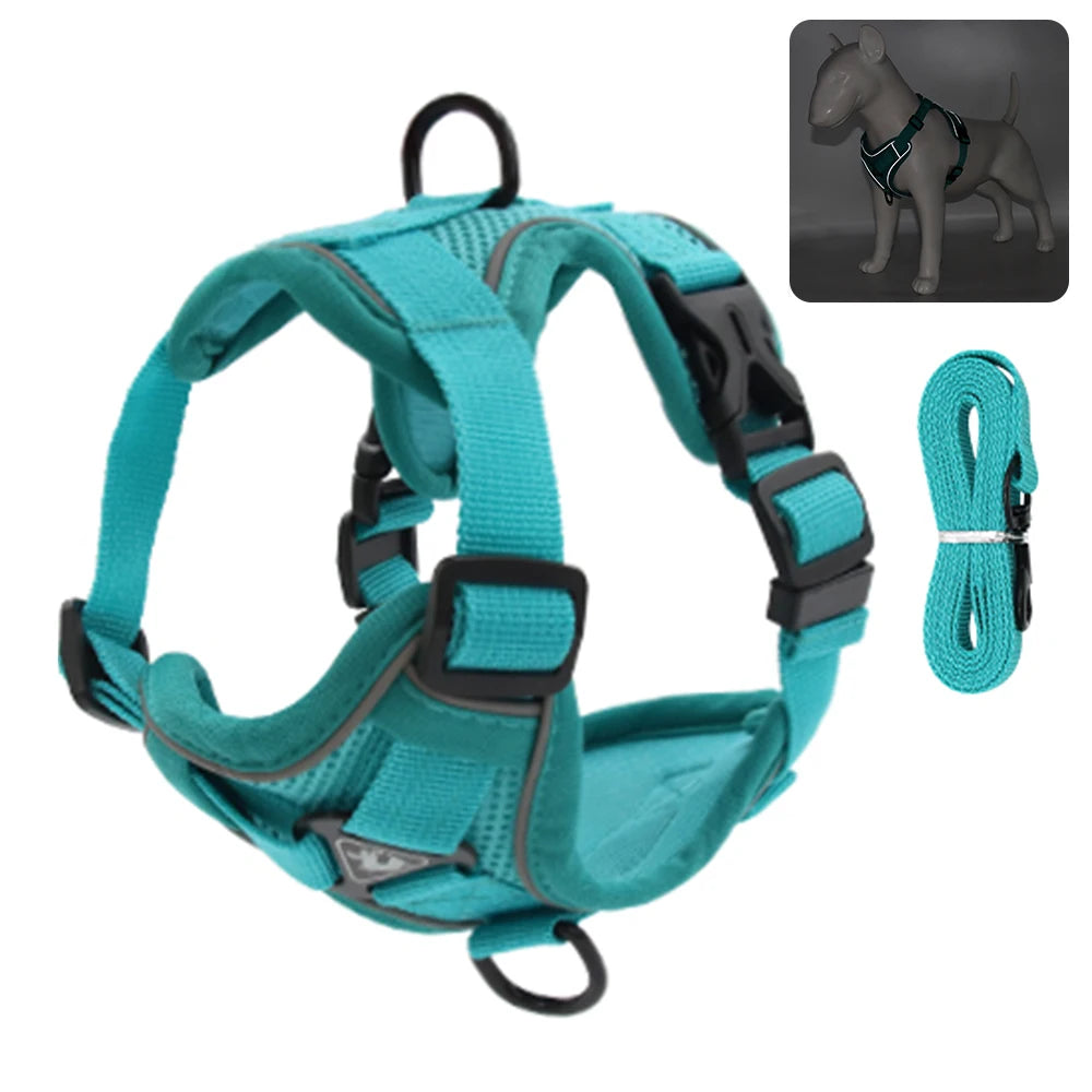 Fashionable reflective cat harness and leash sets