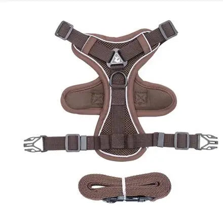 Fashionable reflective cat harness and leash sets