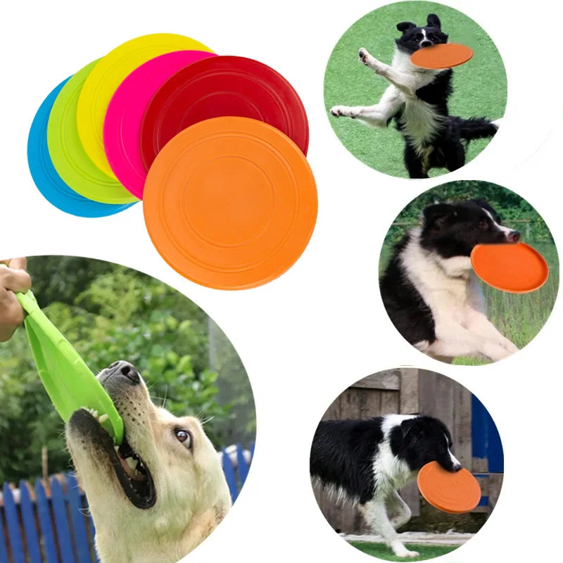 Outdoor play - flying discs - dog toys