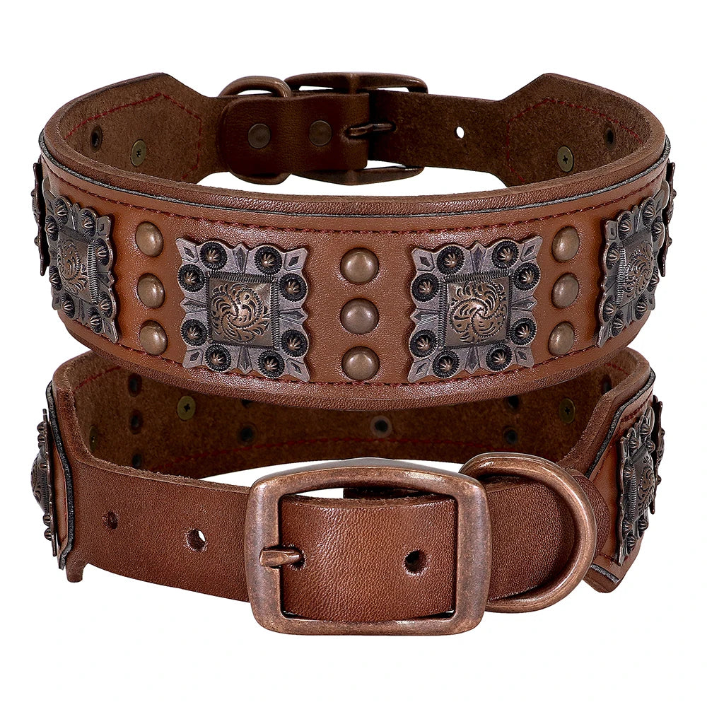 Cooles Hundehalsband mit Spikes für mittelgroße und große Hunde - echtes Leder