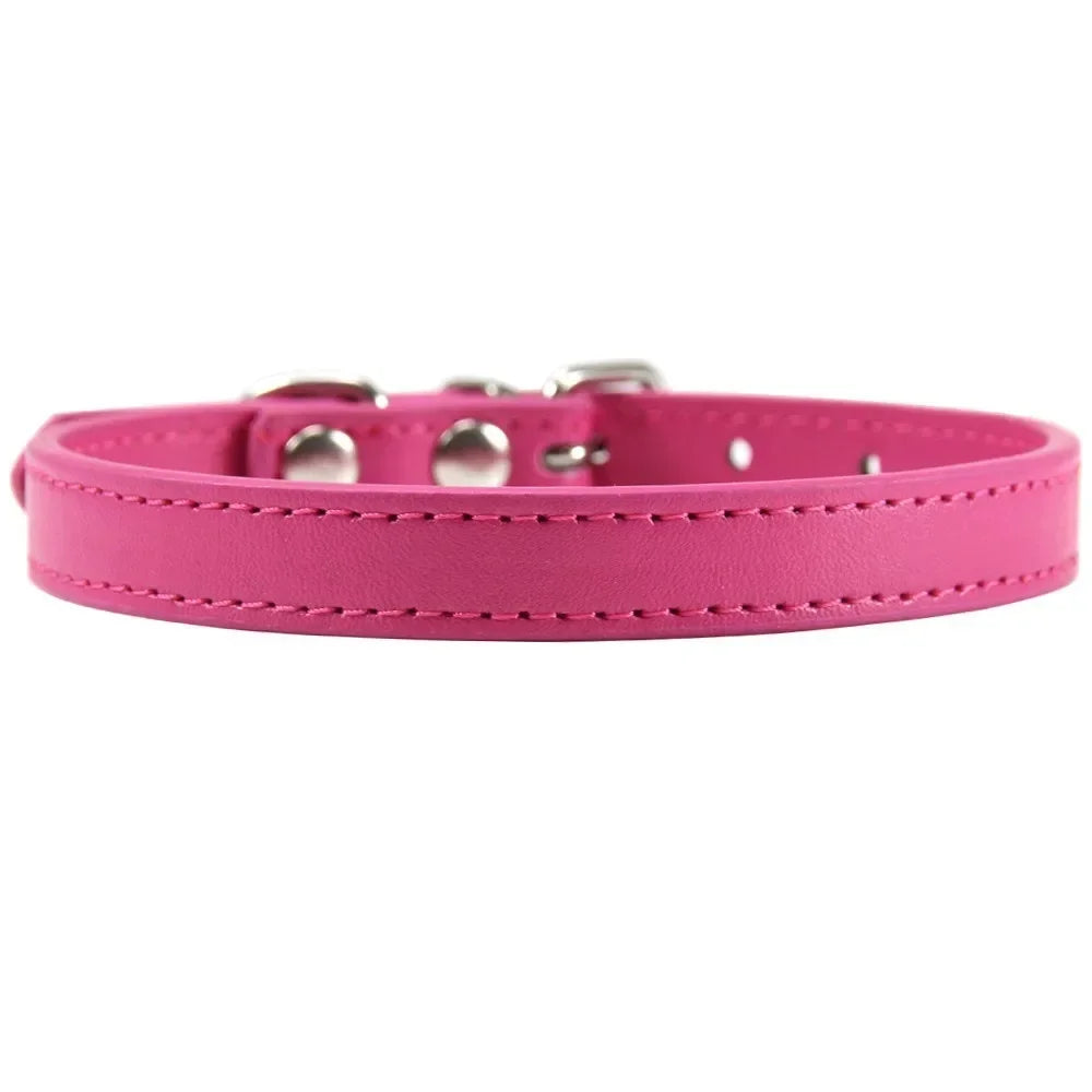 Bunte Leder Halsband für Katzen