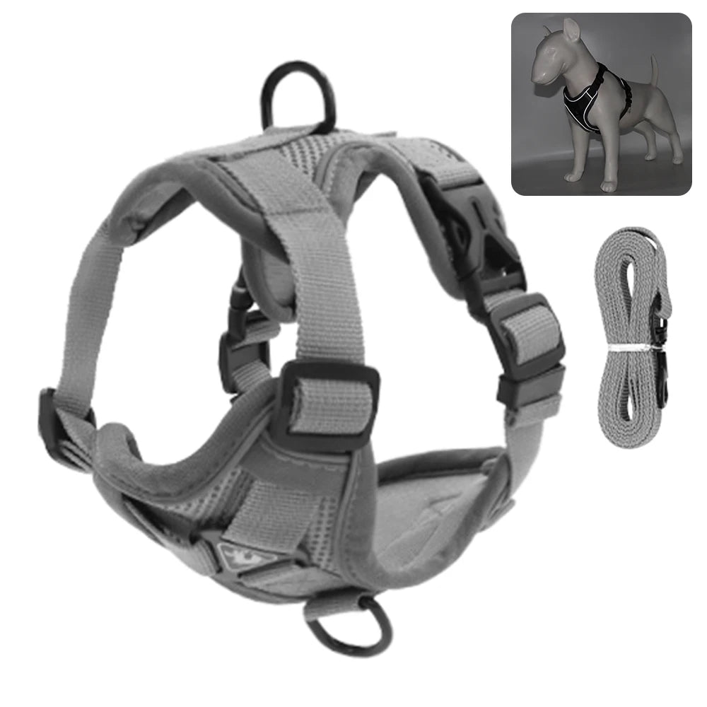 Fashionable reflective cat harness and leash sets