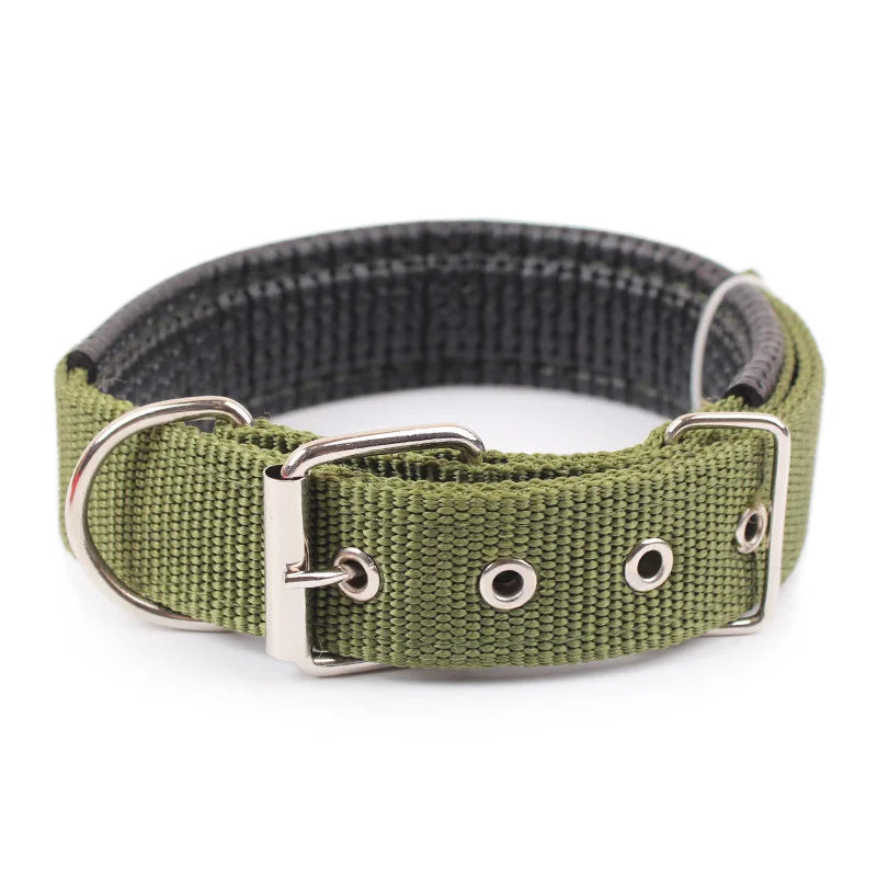 Solid dog collar for all sizes