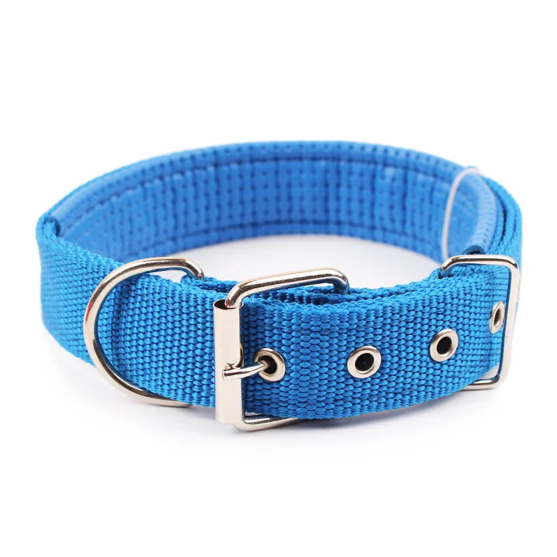 Solid dog collar for all sizes