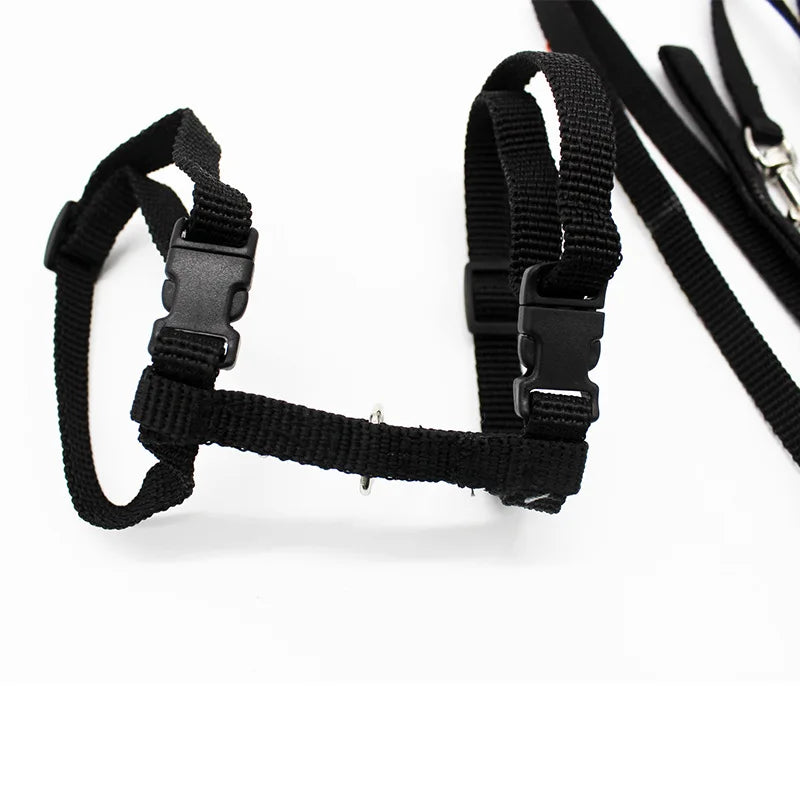 Adjustable Pet Cat Harness with Leash - Set