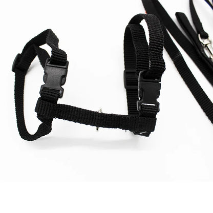 Adjustable Pet Cat Harness with Leash - Set