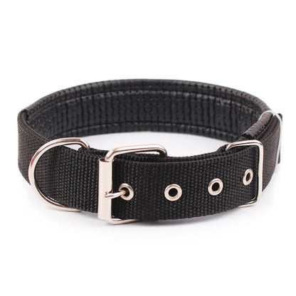 Solid dog collar for all sizes