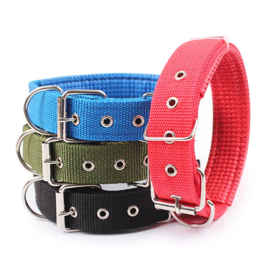 Solid dog collar for all sizes