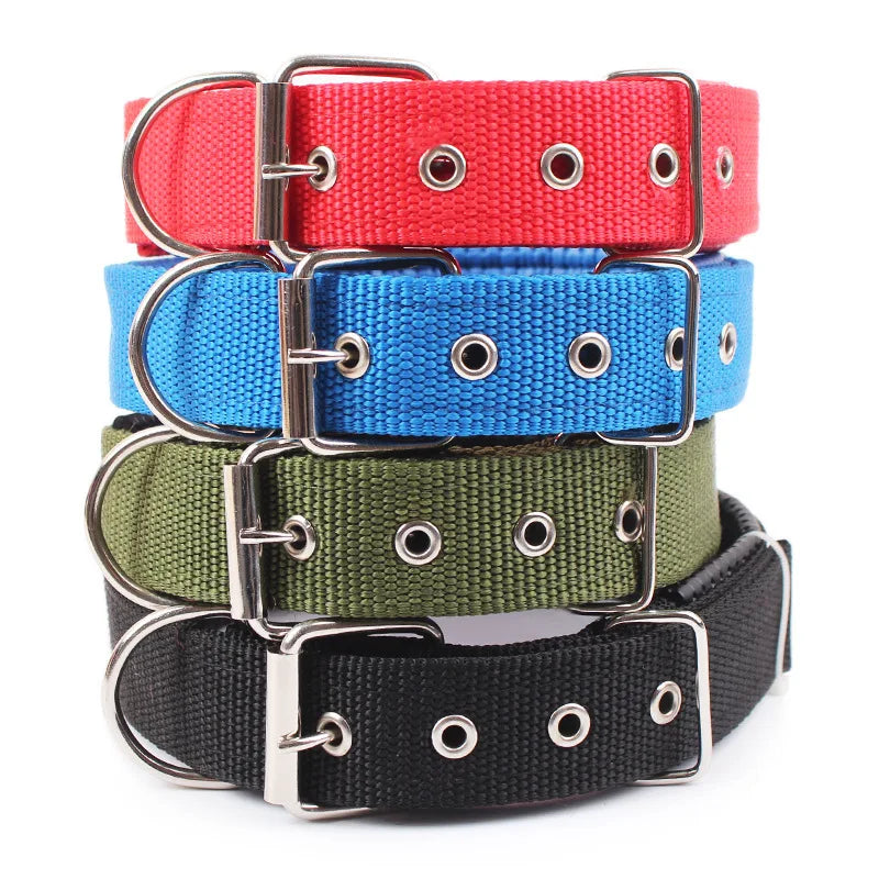 Solid dog collar for all sizes