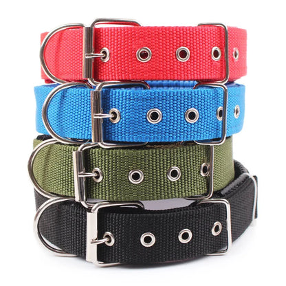 Solid dog collar for all sizes