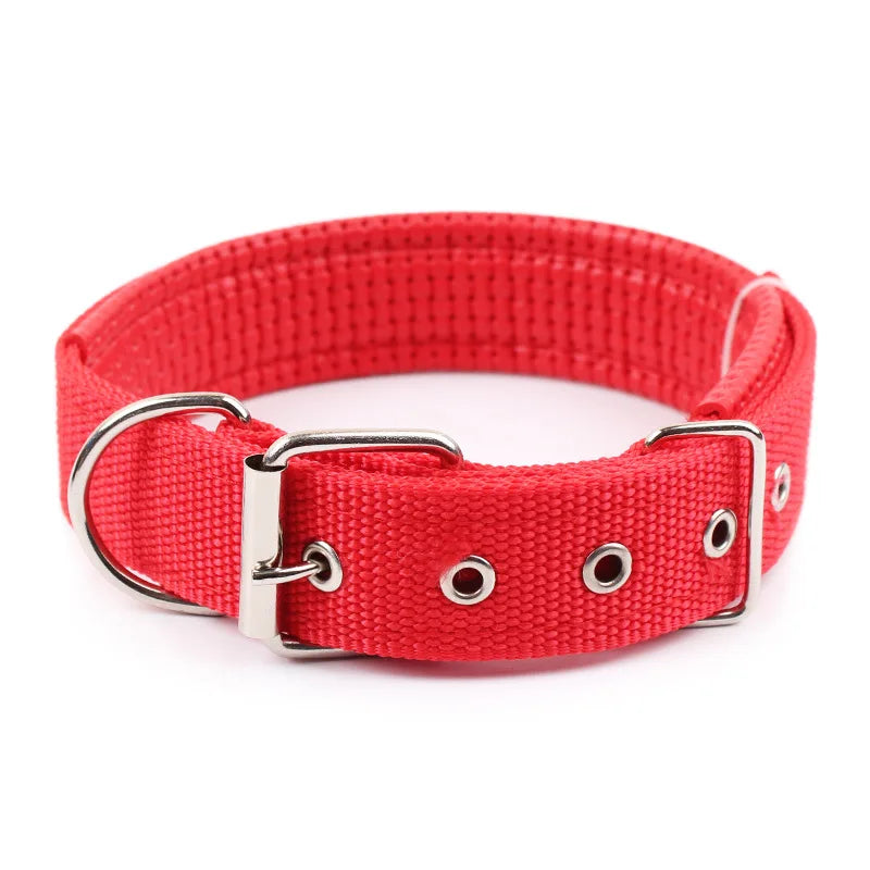 Solid dog collar for all sizes