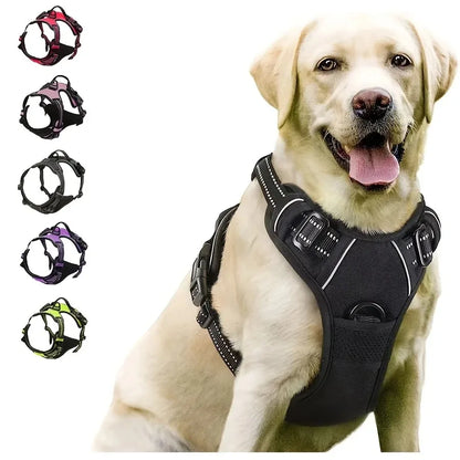 Hundegeschirr aus Leder