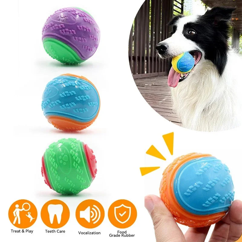 Squeaky dog ​​ball for dogs