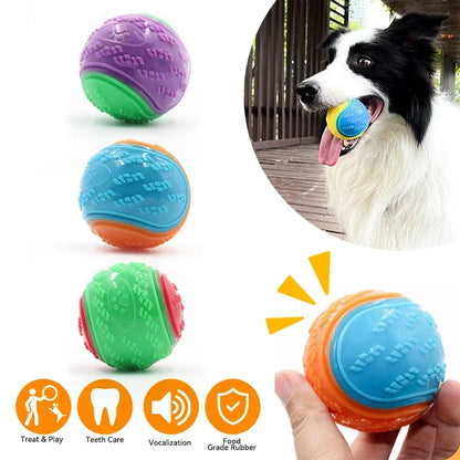 Squeaky dog ​​ball for dogs