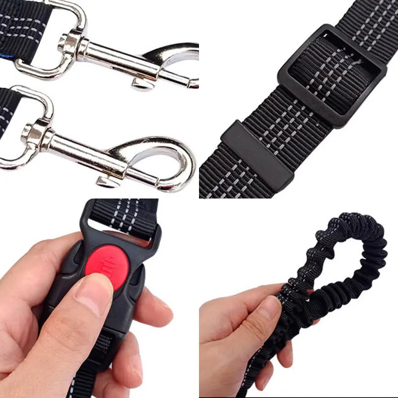 Durable elastic dog leash for running and walking