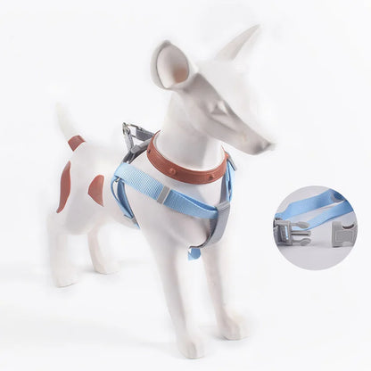 Hundegeschirr - für kleine Hunde - verstellbare