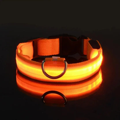 Luminous LED dog collar