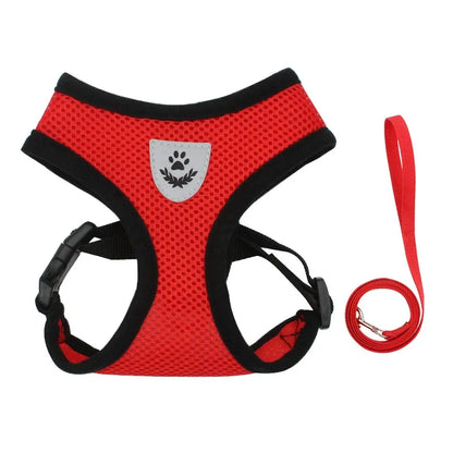 Hundegeschirr mit Leine - verstellbare Weste - für kleine Hunde perfekt geeignet