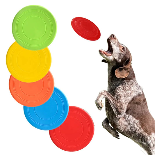 Outdoor play - flying discs - dog toys