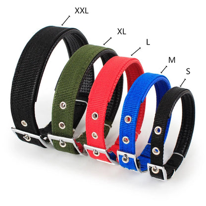 Solid dog collar for all sizes