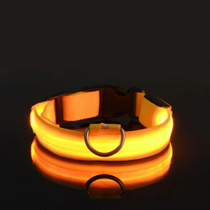 Luminous LED dog collar
