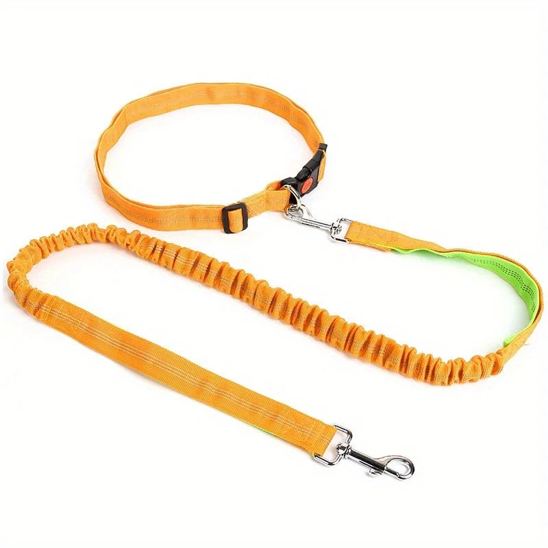Durable elastic dog leash for running and walking