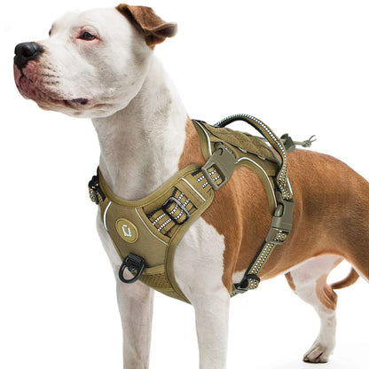 Taktisches Hundegeschirr - für mittelgroße und große Hunde
