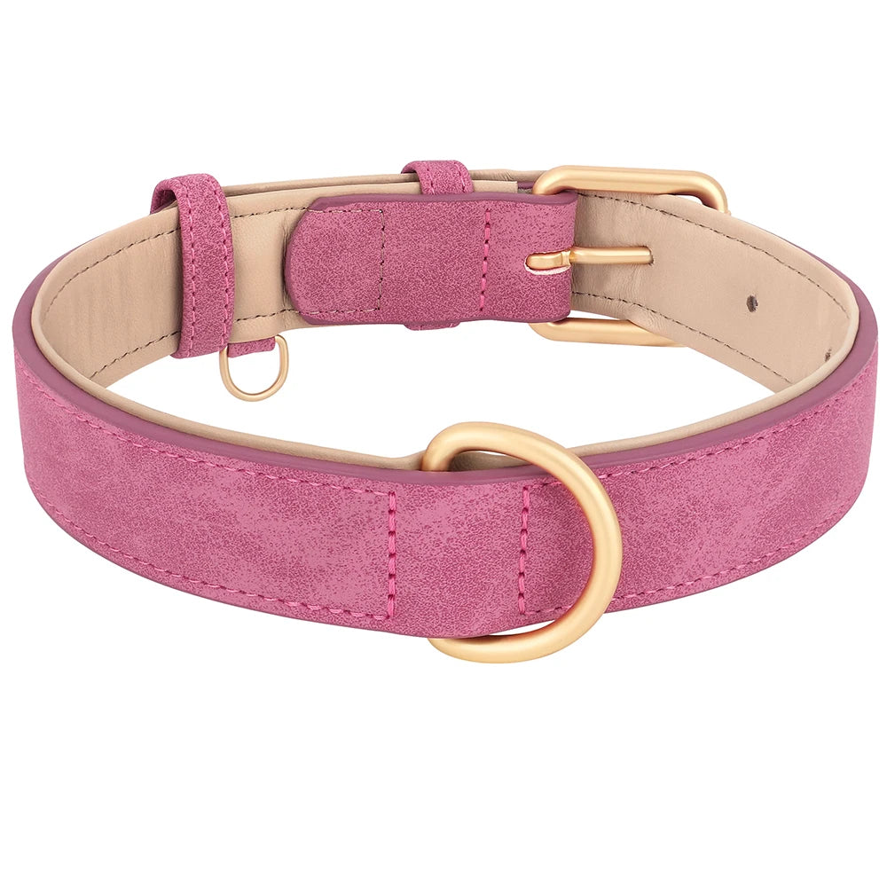 Durable leather dog collar - softly padded