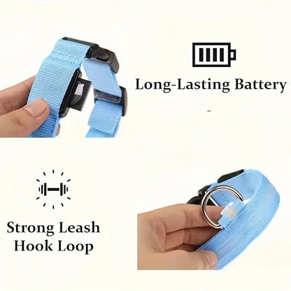 Luminous LED dog collar