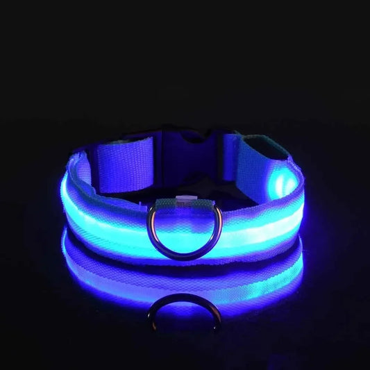 Luminous LED dog collar
