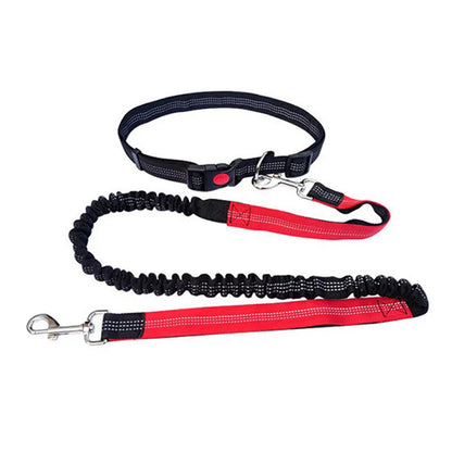 Durable elastic dog leash for running and walking