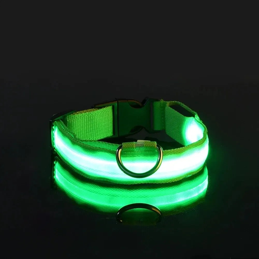 Luminous LED dog collar