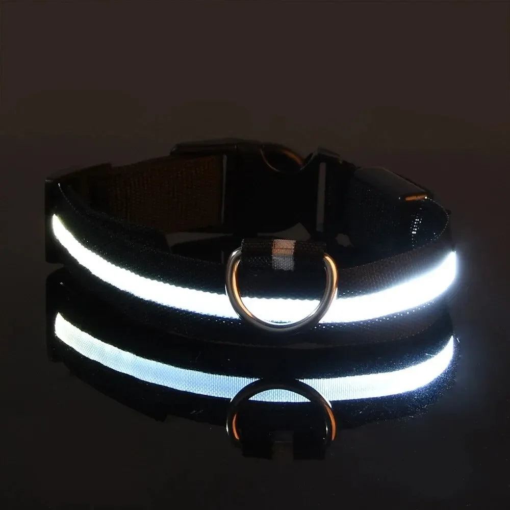 Luminous LED dog collar