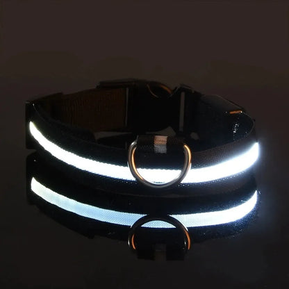 Luminous LED dog collar