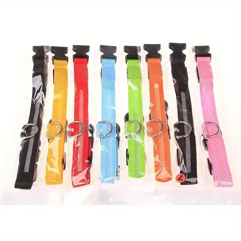 Luminous LED dog collar