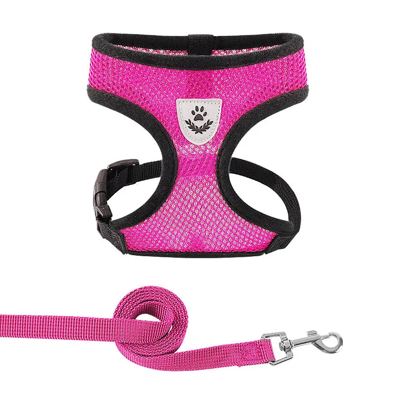 Hundegeschirr mit Leine - verstellbare Weste - für kleine Hunde perfekt geeignet