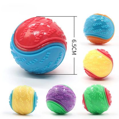Squeaky dog ​​ball for dogs