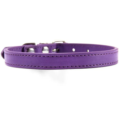 Bunte Leder Halsband für Katzen